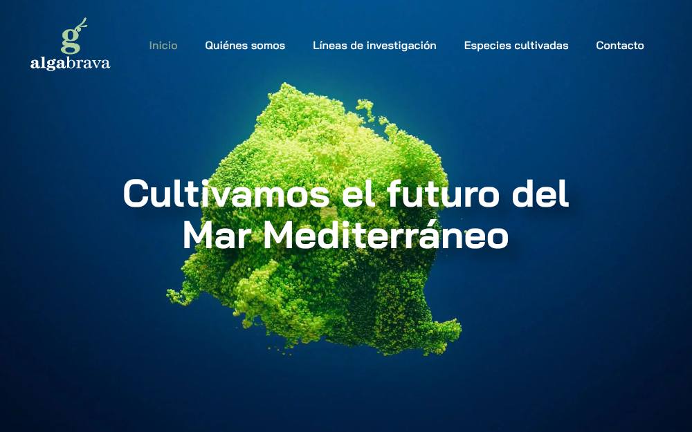 Portada de la web de Algabrava