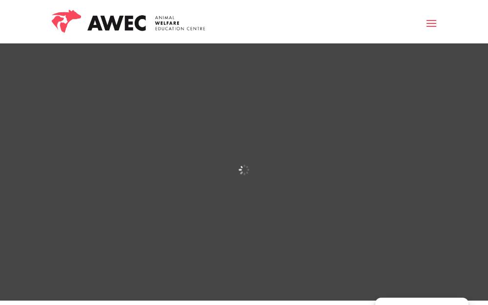 Portada de la web de Awec