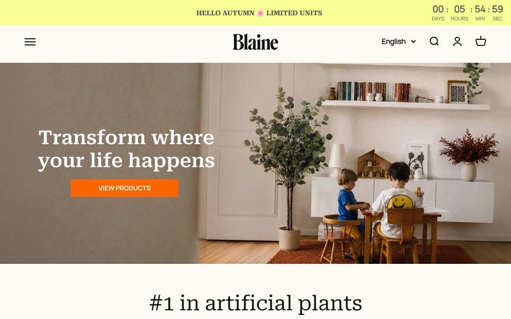 Portada de la web de Blaine