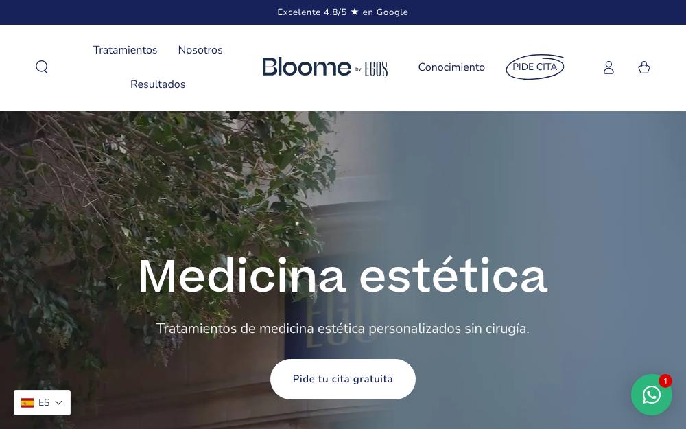 Portada de la web de Bloome