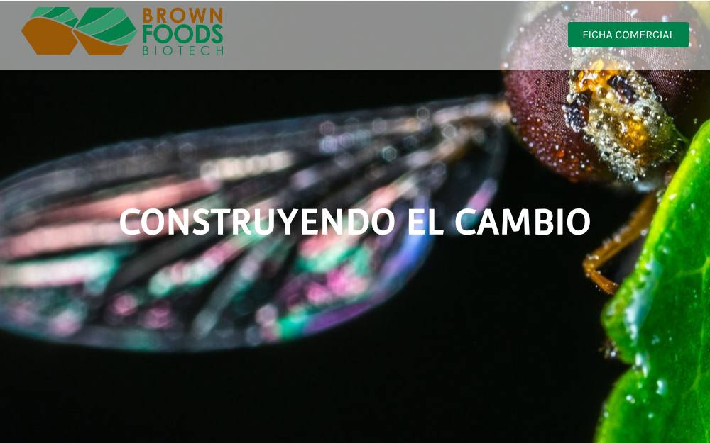 Portada de la web de Brownfoods Biotech