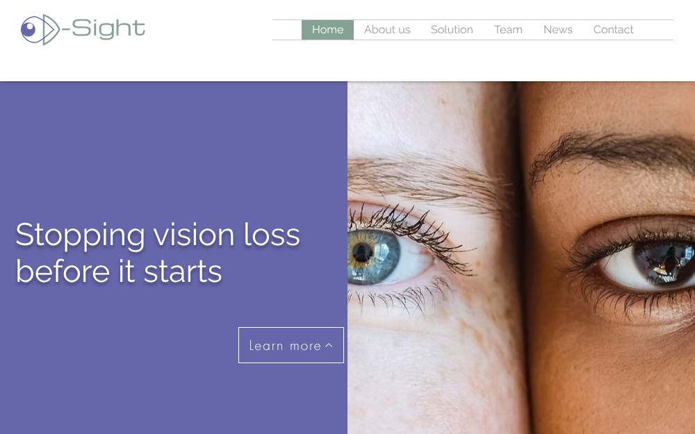Portada de la web de D-Sight