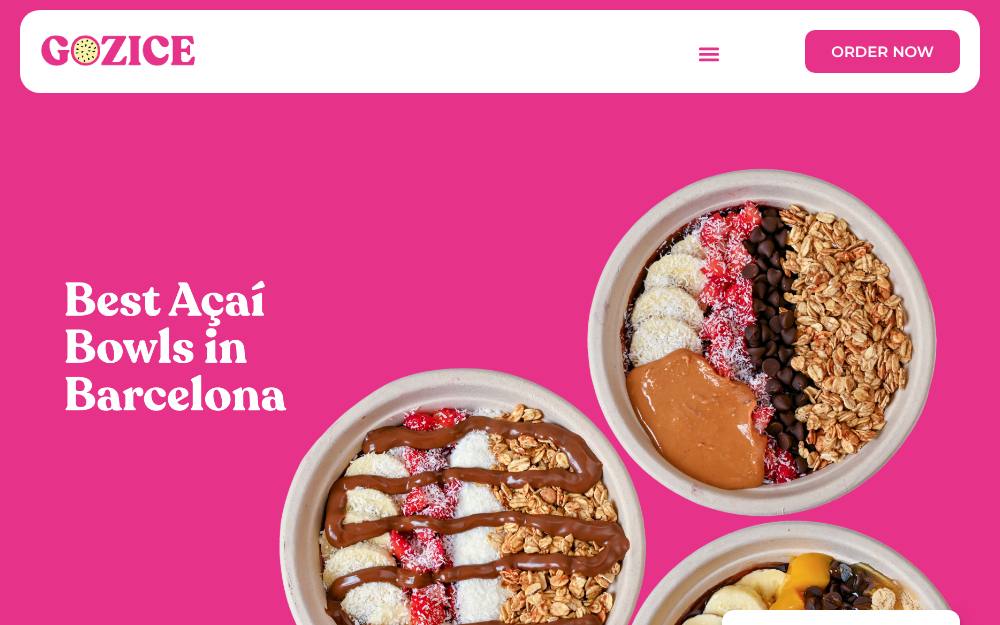 Portada de la web de Gozice