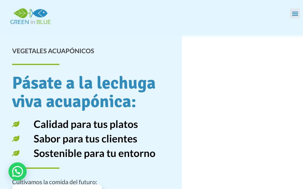 Portada de la web de Green In Blue