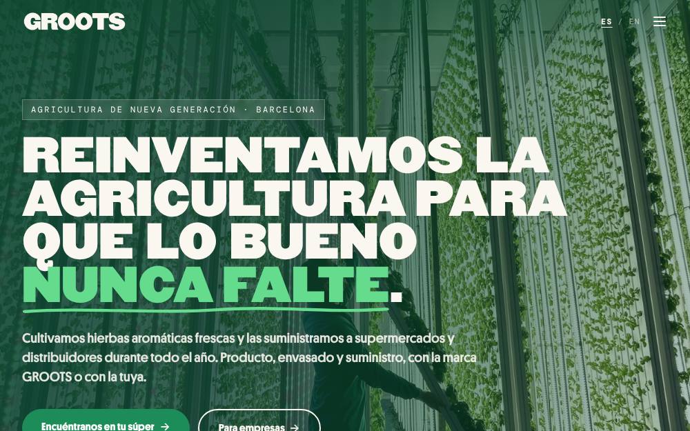 Portada de la web de Groots