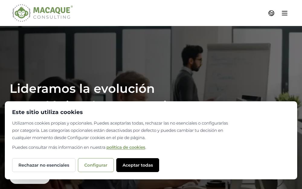 Portada de la web de Macaque Consulting