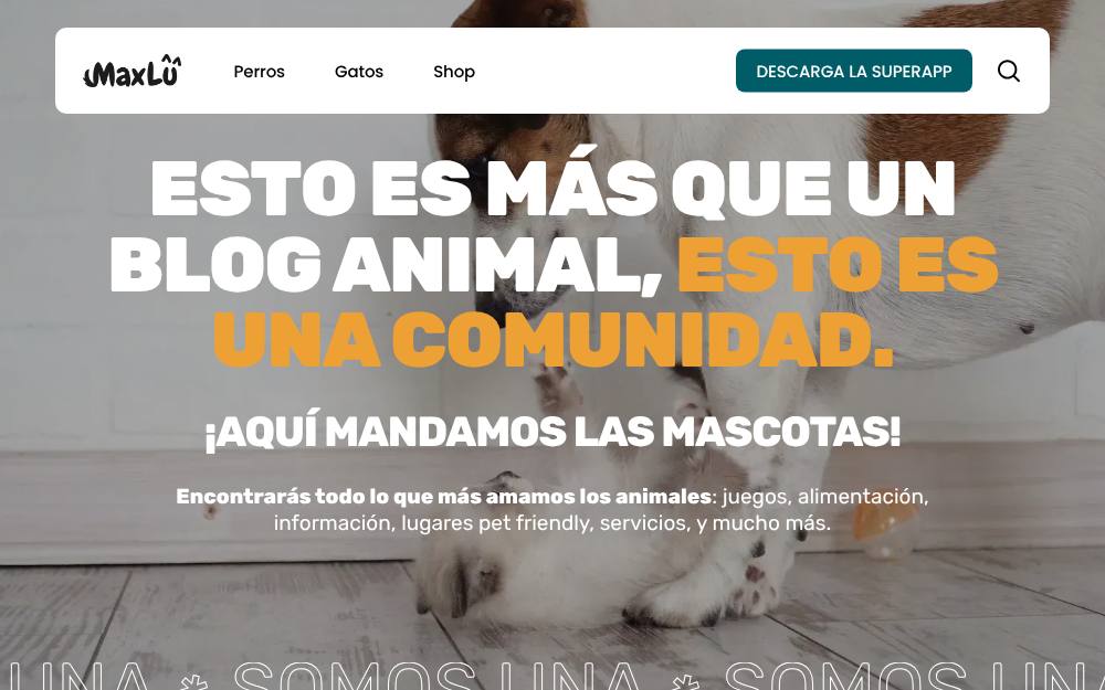 Portada de la web de Maxlu