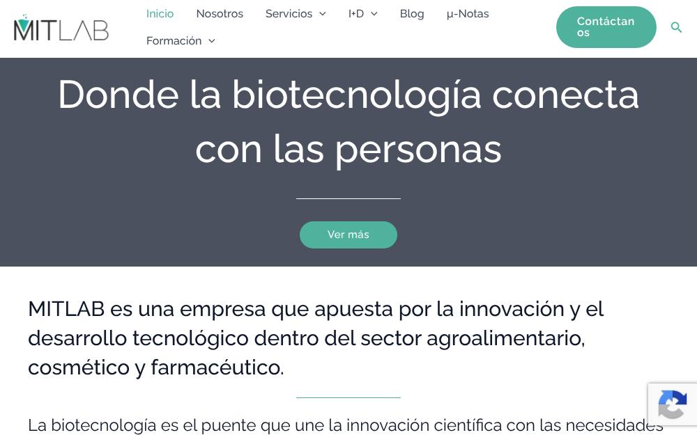 Portada de la web de Mitlab