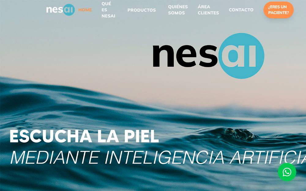 Portada de la web de Nesai