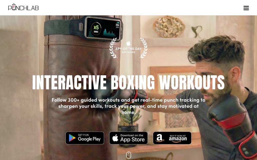 Portada de la web de Punchlab