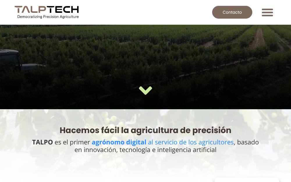 Portada de la web de Talpo