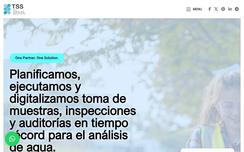 Portada de la web de The Sampling Solutions