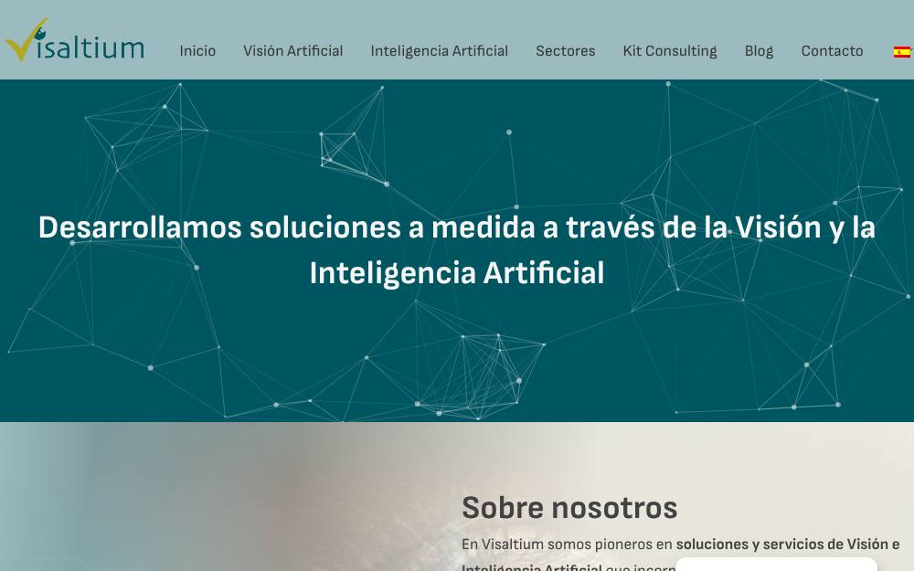 Portada de la web de Visaltium